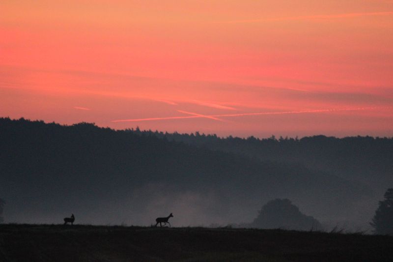 Bildla Nummä 014.jpg