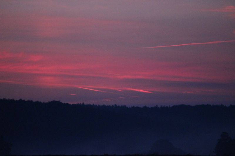 Bildla Nummä 016.jpg