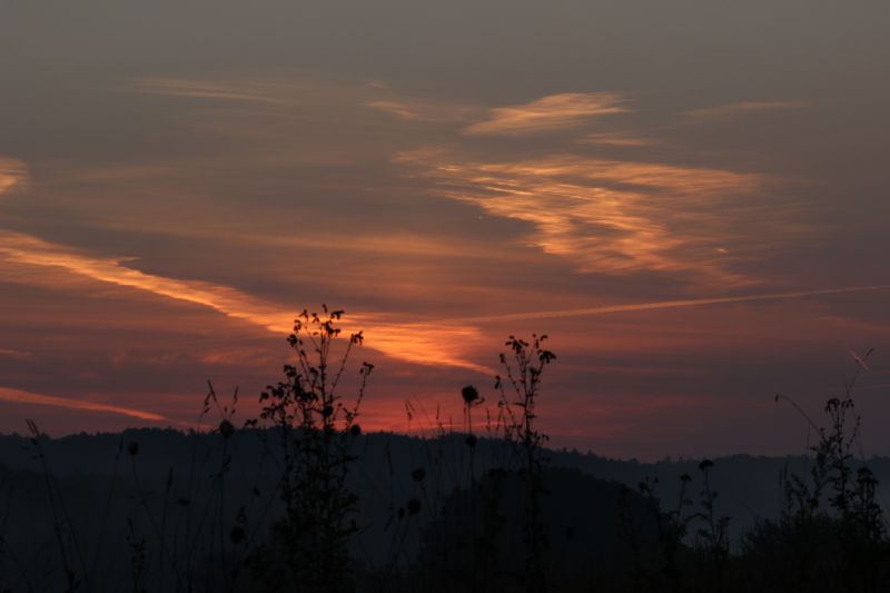 Bildla Nummä 027.jpg