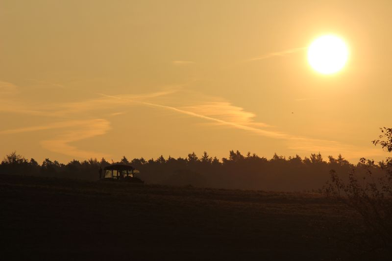 Bildla Nummä 046.jpg