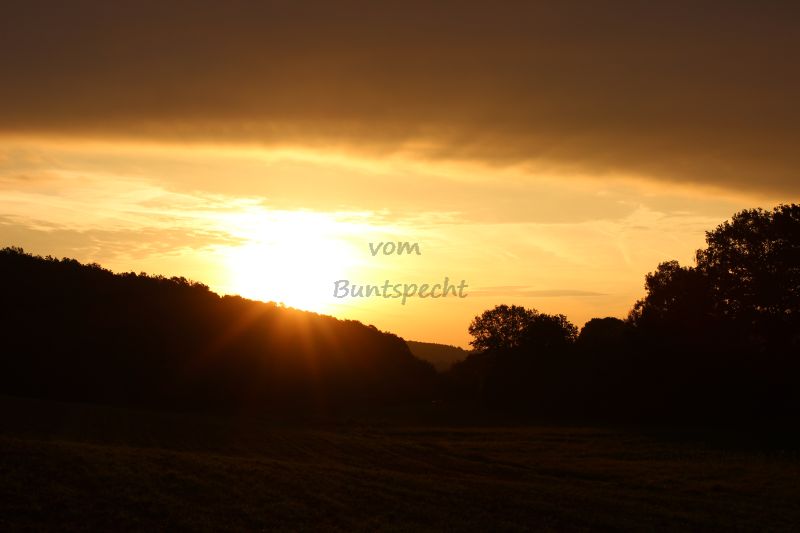 Bildla Nummä 003.jpg