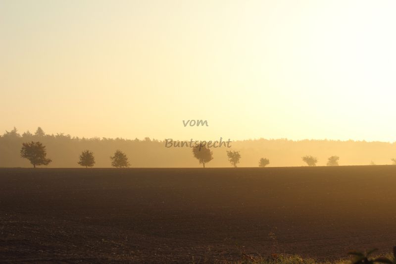 Bildla Nummä 005.jpg