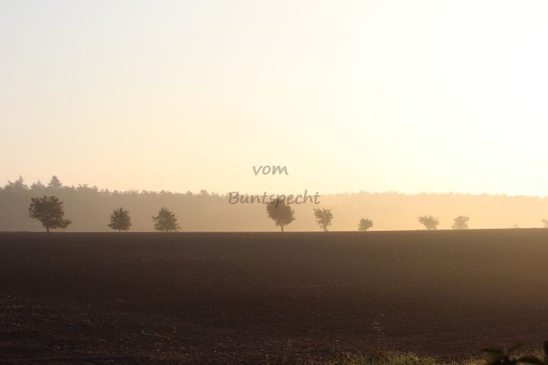 Bildla Nummä 006.jpg