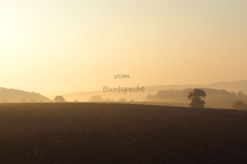 Bildla Nummä 007.jpg