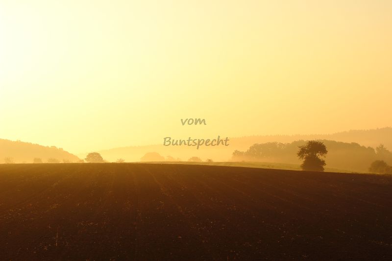 Bildla Nummä 008.jpg