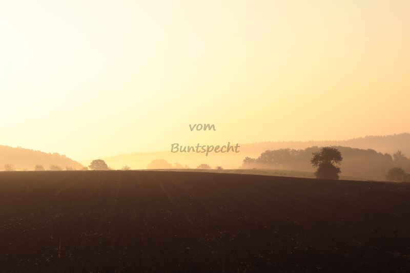 Bildla Nummä 009.jpg