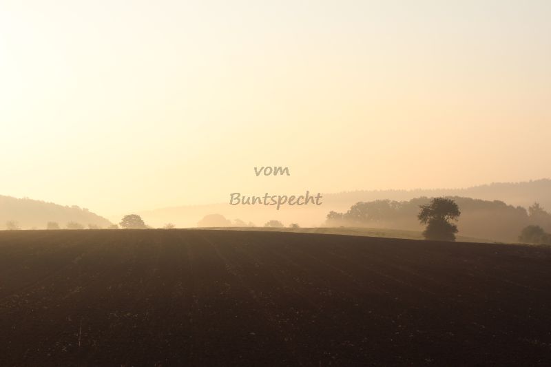 Bildla Nummä 010.jpg