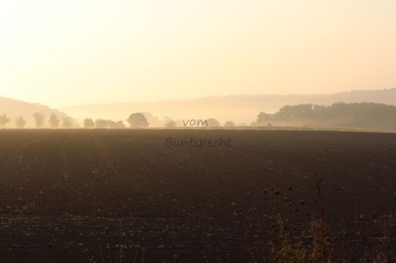 Bildla Nummä 014.jpg