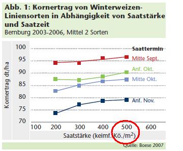 Weizen Saatstärke und Kornertrag.JPG