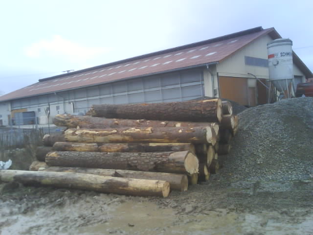 DSC00479.JPG