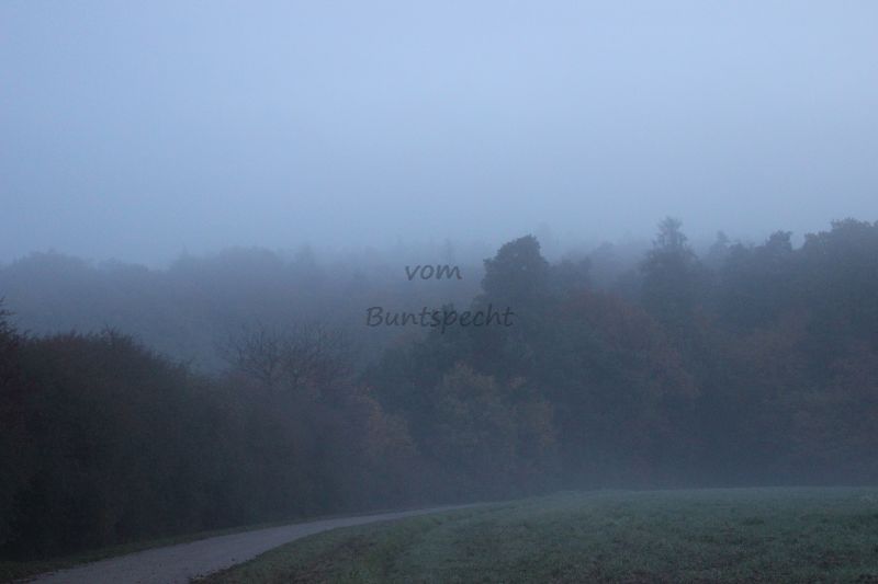 Bildla Nummä 002.jpg