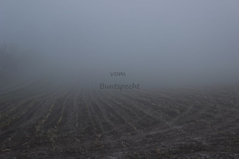 Bildla Nummä 013.jpg