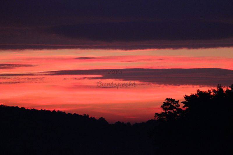 Bildla Nummä 007.jpg