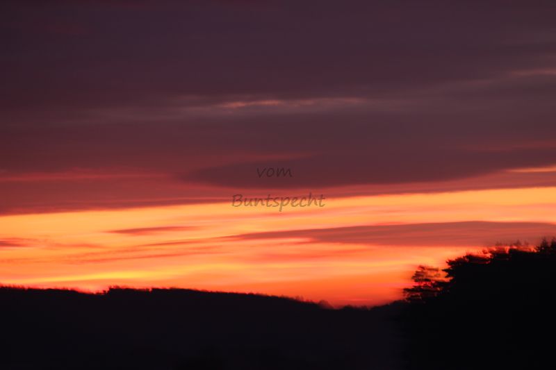 Bildla Nummä 008.jpg