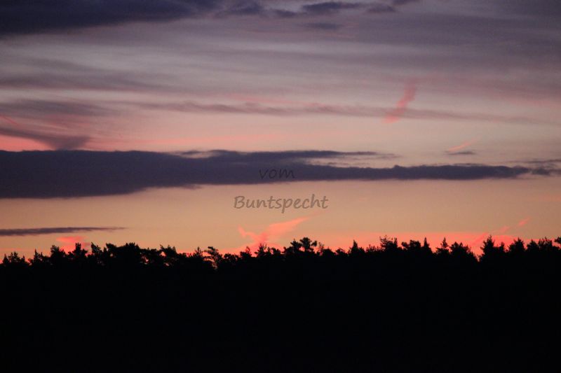 Bildla Nummä 010.jpg