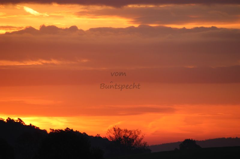 Bildla Nummä 039.jpg