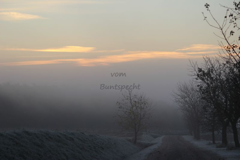 Bildla Nummä 002.jpg