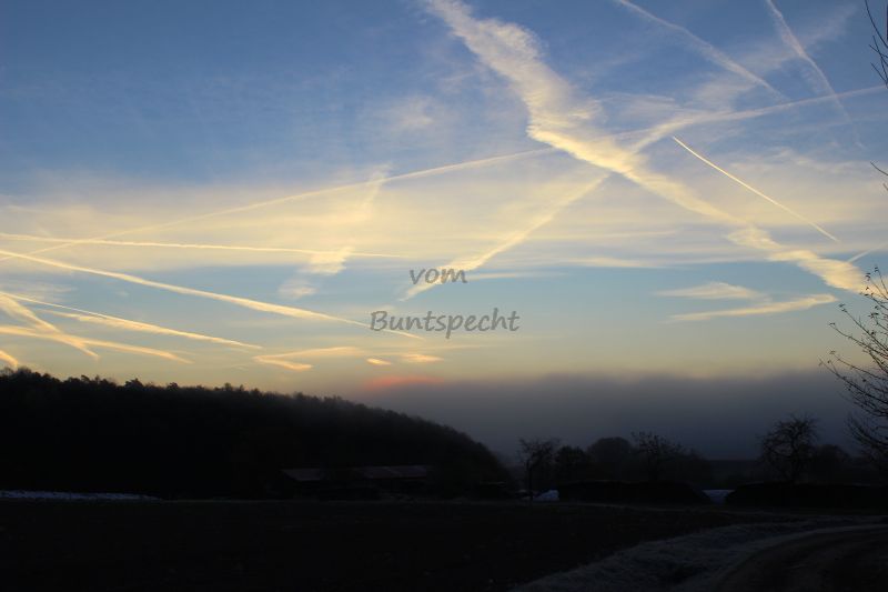 Bildla Nummä 005.jpg