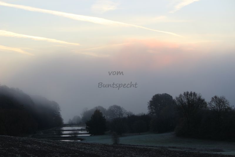 Bildla Nummä 006.jpg