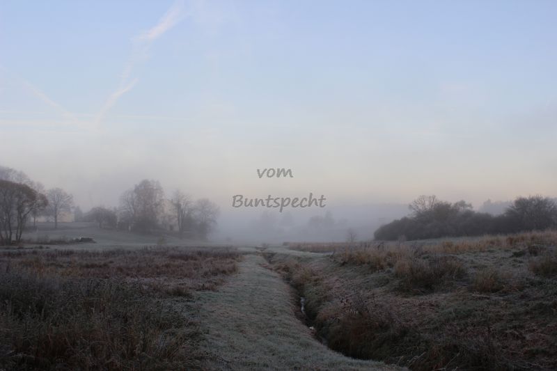 Bildla Nummä 008.jpg