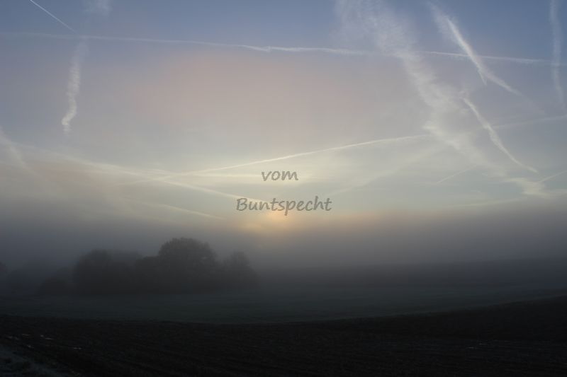 Bildla Nummä 009.jpg