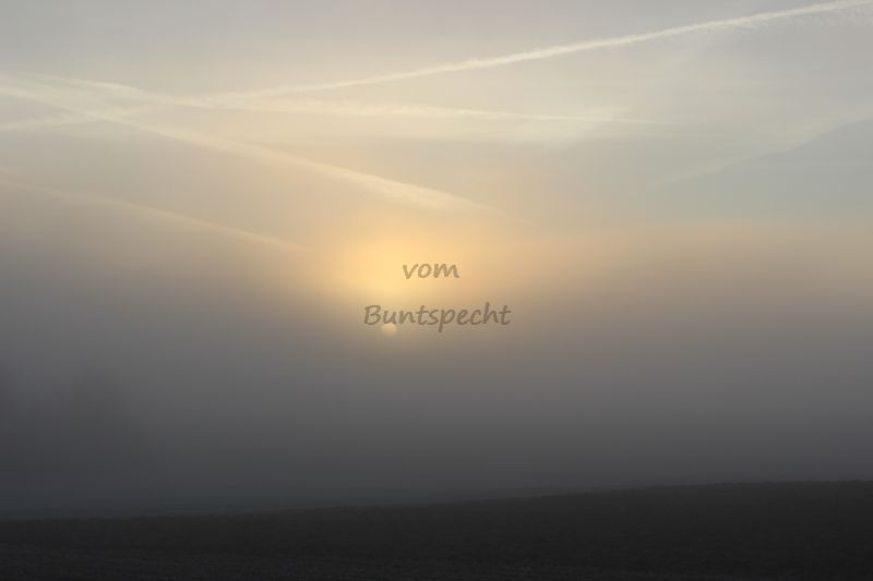 Bildla Nummä 013.jpg