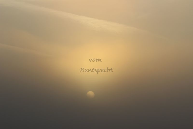 Bildla Nummä 014.jpg