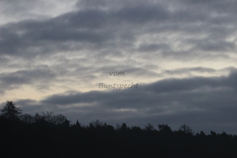 Bildla Nummä 001.jpg