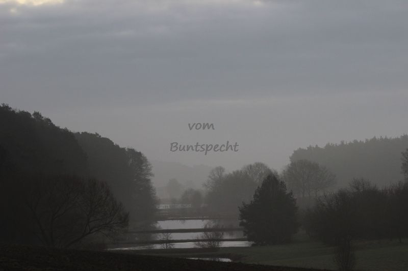 Bildla Nummä 004.jpg