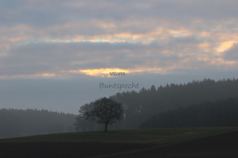 Bildla Nummä 007.jpg