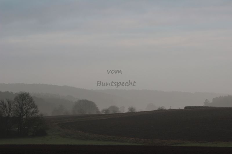 Bildla Nummä 008.jpg