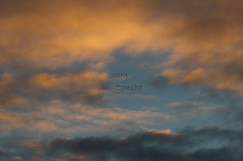 Bildla Nummä 009.jpg