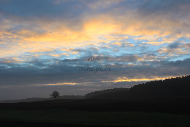 Bildla Nummä 011.jpg