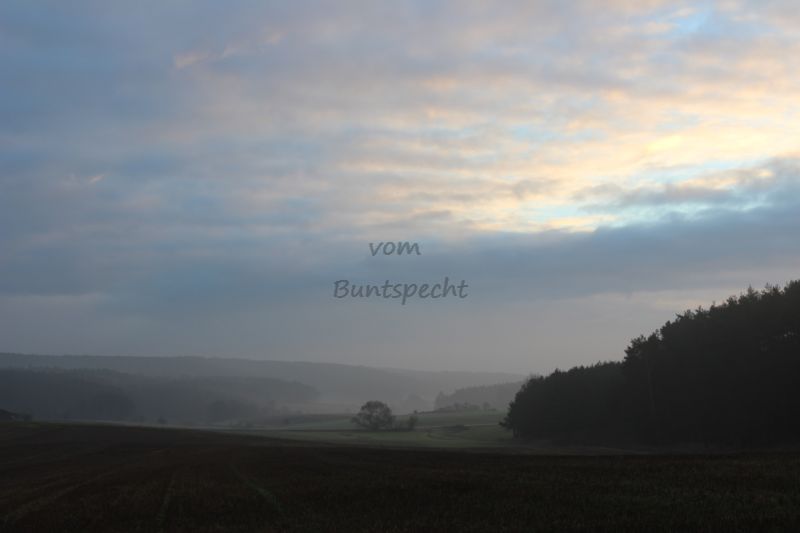 Bildla Nummä 012.jpg