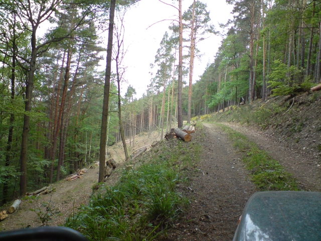 DSC01524.jpg