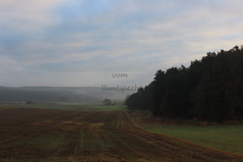 Bildla Nummä 016.jpg