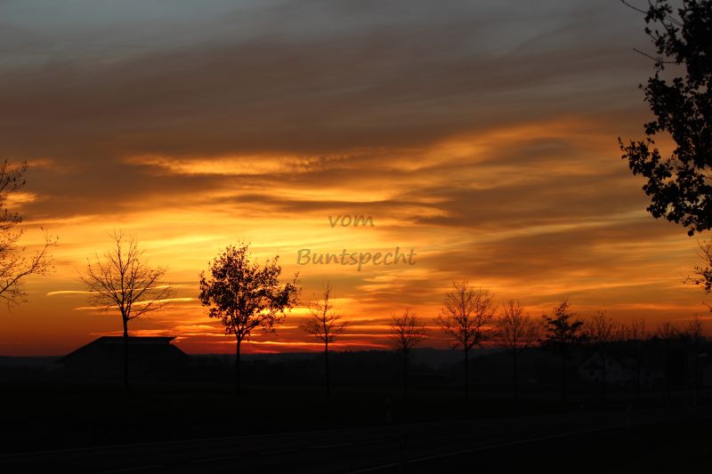 Bildla Nummä 003.jpg