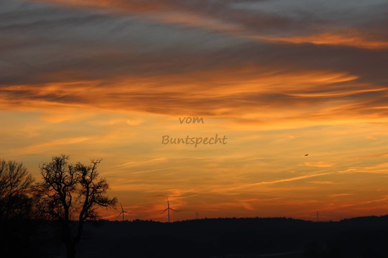 Bildla Nummä 010.jpg