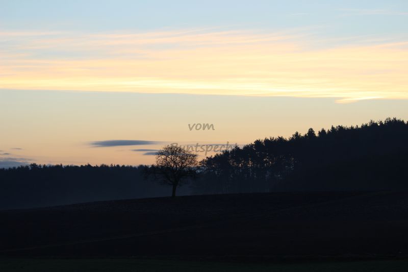 Bildla Nummä 008.jpg