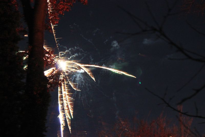 Bildla Nummä 005.jpg