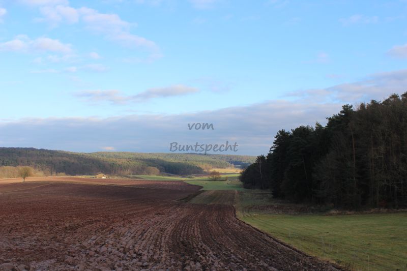 Bildla Nummä 002.jpg