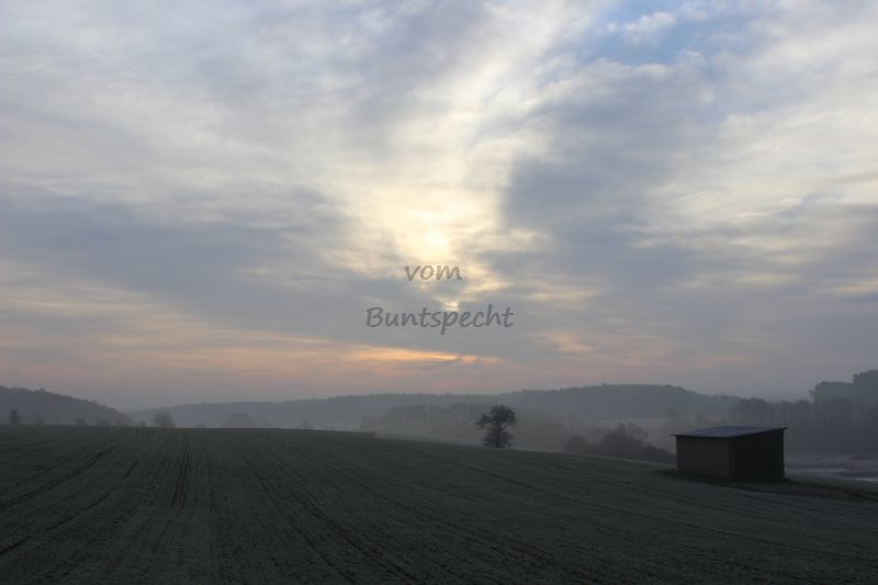 Bildla Nummä 003.jpg