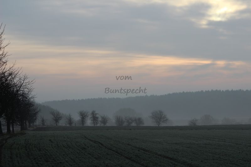 Bildla Nummä 004.jpg