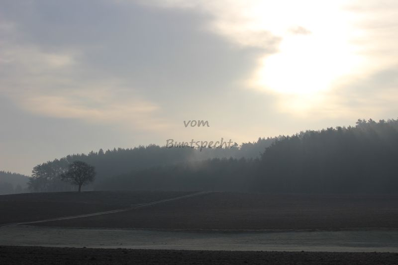 Bildla Nummä 015.jpg