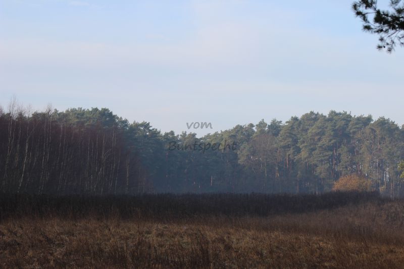 Bildla Nummä 024.jpg