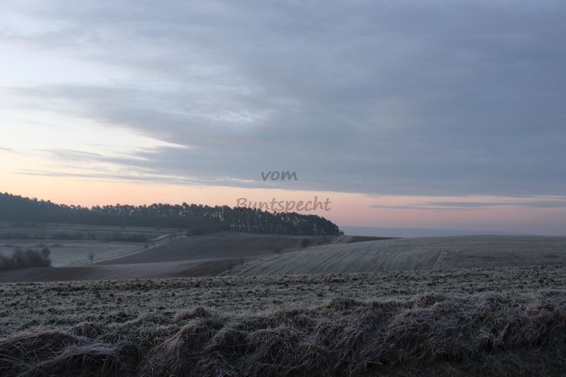 Bildla Nummä 016.jpg