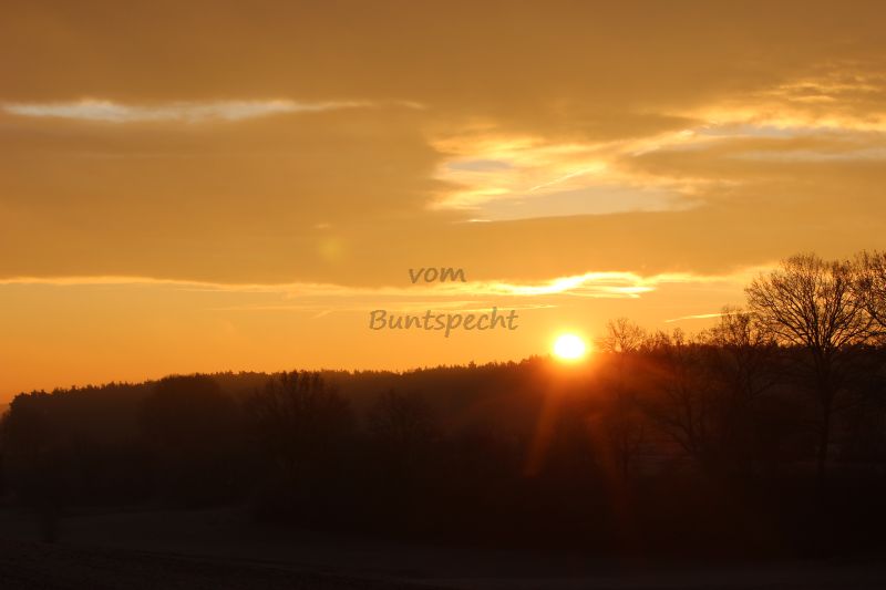 Bildla Nummä 044.jpg