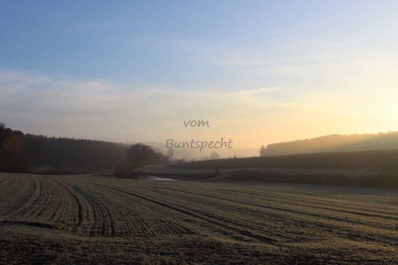 Bildla Nummä 023.jpg