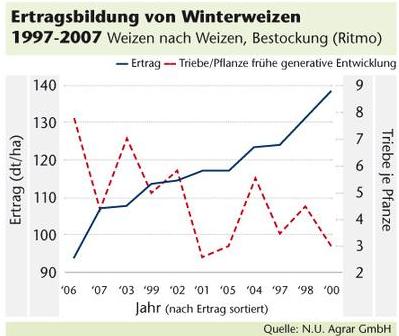 Weizen Ertrag und Triebe je Pflanze.JPG