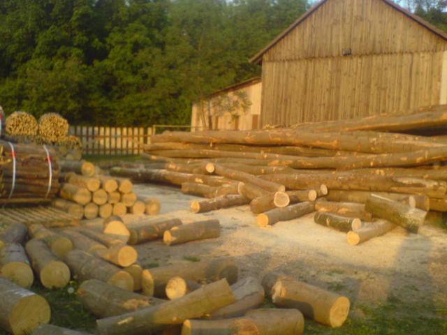DSC00271.JPG